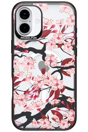 Sakura - Apple iPhone 16 Plus