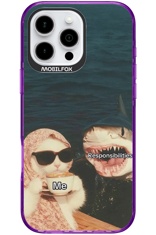 Responsibilities - Apple iPhone 16 Pro Max