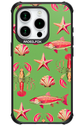 Sea Stars - Apple iPhone 15 Pro