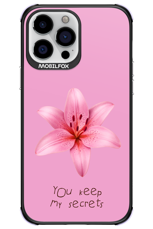 Secrets 2.0 - Apple iPhone 13 Pro Max