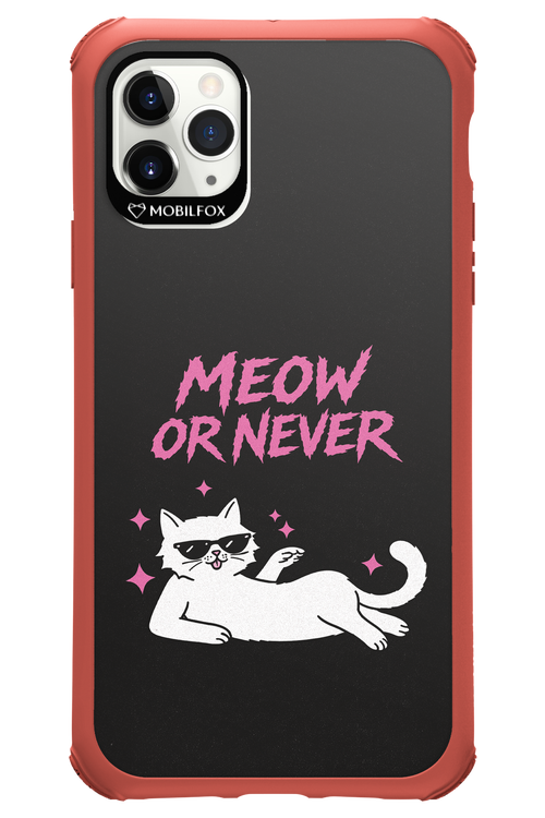 MEOW OR NEVER 2.0 - Apple iPhone 11 Pro Max