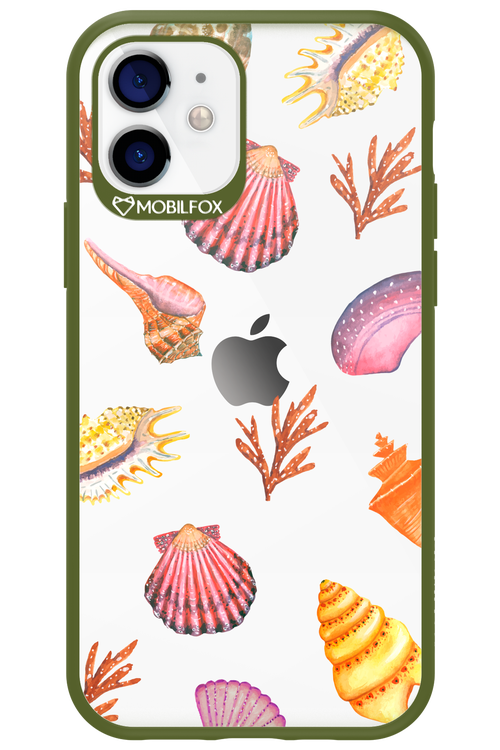 Sea Shells - Apple iPhone 12