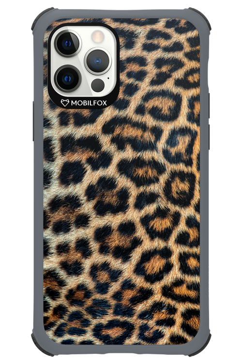 Leopard 2.0 - Apple iPhone 12 Pro