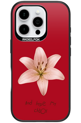 Chaos - Apple iPhone 16 Pro