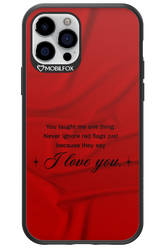Never Ignore 2.0 - Apple iPhone 12 Pro
