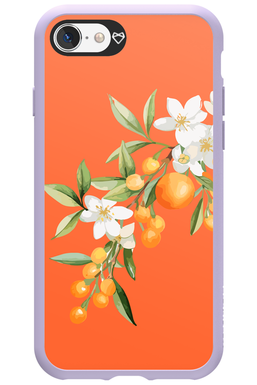 Amalfi Oranges - Apple iPhone SE 2022