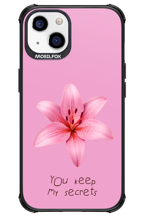 Secrets - Apple iPhone 13