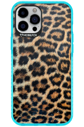 Leopard - Apple iPhone 12 Pro Max