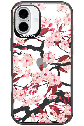 Sakura - Apple iPhone 16 Plus