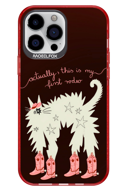 First rodeo 2.0 - Apple iPhone 13 Pro Max