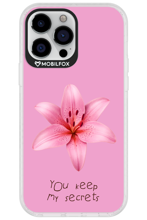 Secrets - Apple iPhone 13 Pro Max