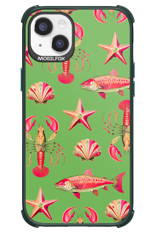 Sea Stars - Apple iPhone 14 Plus