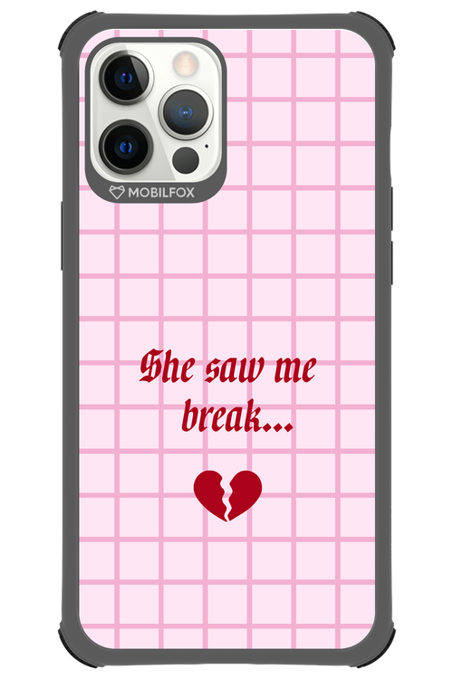 Break - Apple iPhone 12 Pro Max