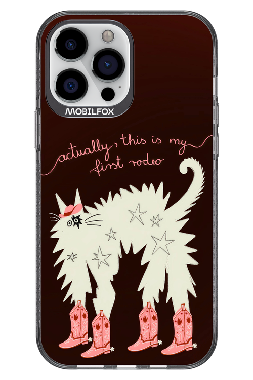 First rodeo 2.0 - Apple iPhone 13 Pro Max