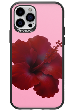 HibiGundy - Apple iPhone 12 Pro
