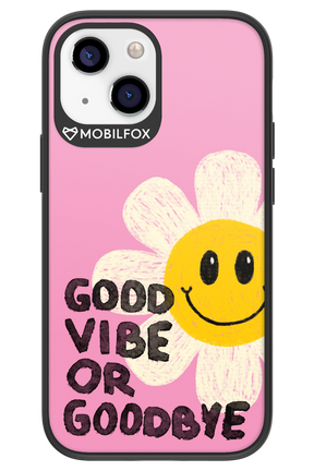 Goodbye - Apple iPhone 13 Mini