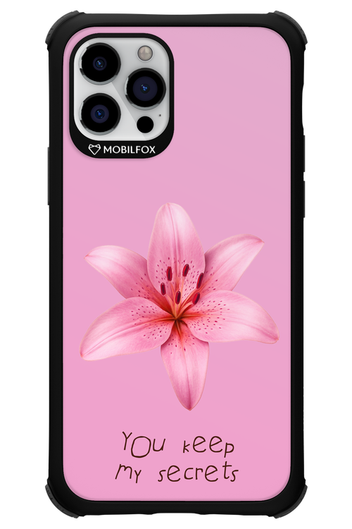 Secrets - Apple iPhone 12 Pro