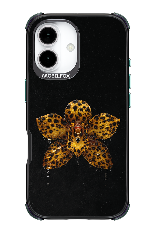 Wet & Wild 2.0 - Apple iPhone 17