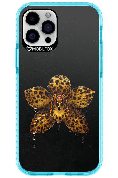 Wet & Wild 2.0 - Apple iPhone 12 Pro