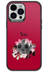 YO - Apple iPhone 13 Pro Max