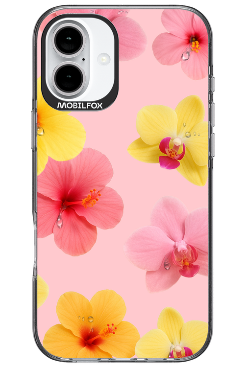 Sunset Flowers - Apple iPhone 16 Plus