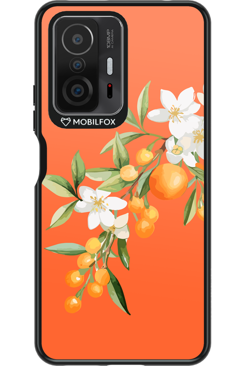 Amalfi Oranges - Xiaomi Mi 11T