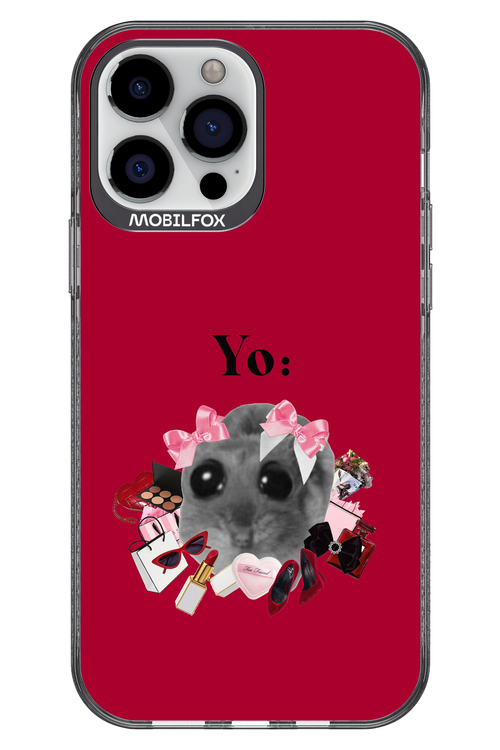 YO - Apple iPhone 13 Pro Max