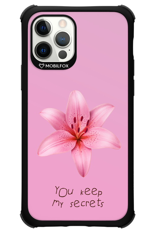 Secrets 2.0 - Apple iPhone 12 Pro