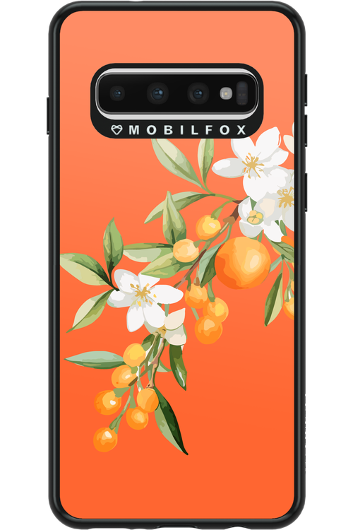 Amalfi Oranges - Samsung Galaxy S10