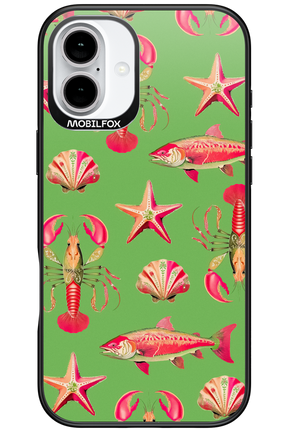 Sea Stars - Apple iPhone 16 Plus