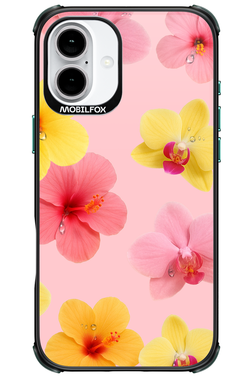 Sunset Flowers - Apple iPhone 16 Plus