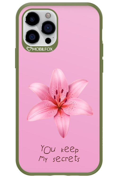 Secrets 2.0 - Apple iPhone 12 Pro