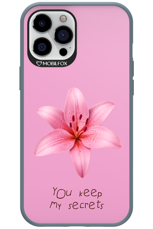 Secrets 2.0 - Apple iPhone 12 Pro Max