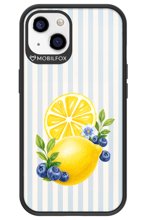 Fresh Flash 2.0 - Apple iPhone 13