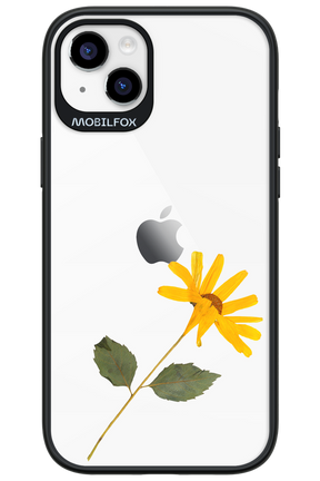 Pressed Flower - Apple iPhone 14 Plus