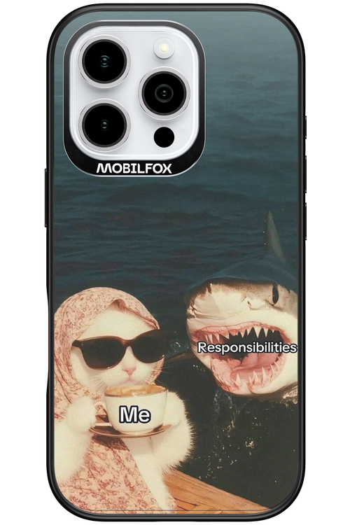 Responsibilities - Apple iPhone 16 Pro