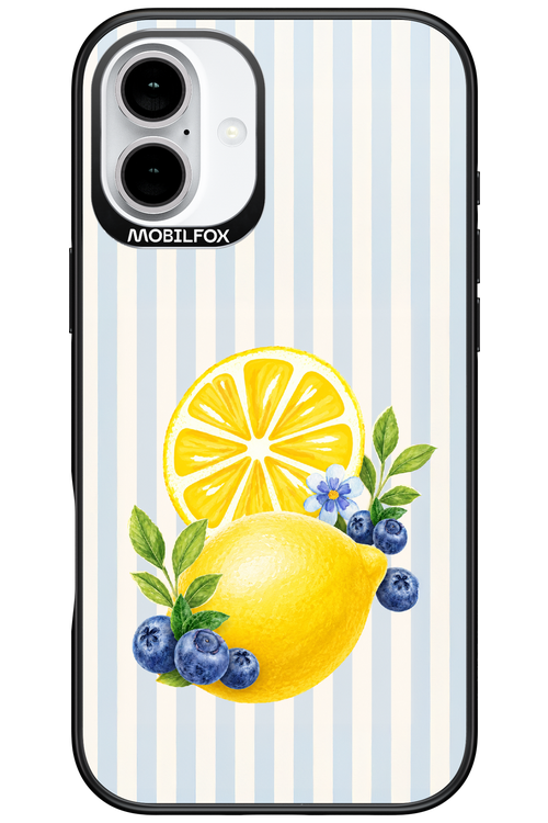 Fresh Flash 2.0 - Apple iPhone 16 Plus