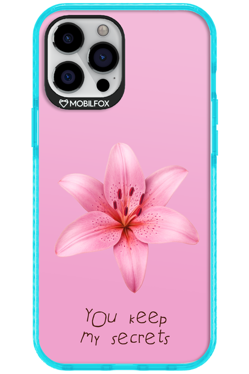 Secrets - Apple iPhone 12 Pro Max