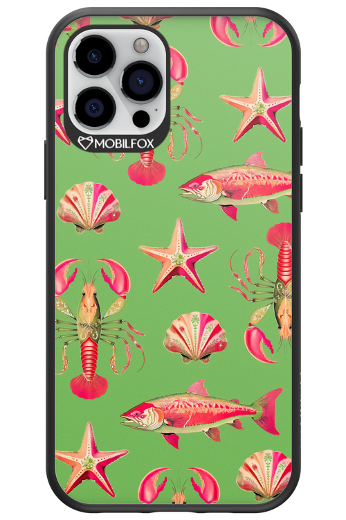 Sea Stars - Apple iPhone 12 Pro