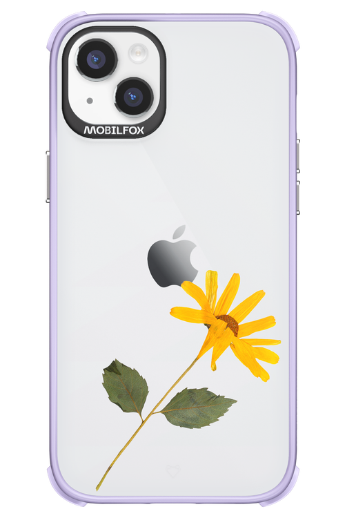 Pressed Flower - Apple iPhone 14 Plus