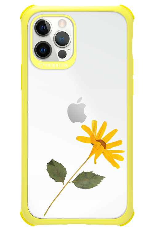 Pressed Flower - Apple iPhone 12 Pro