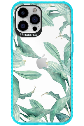 Greenpeace - Apple iPhone 12 Pro Max