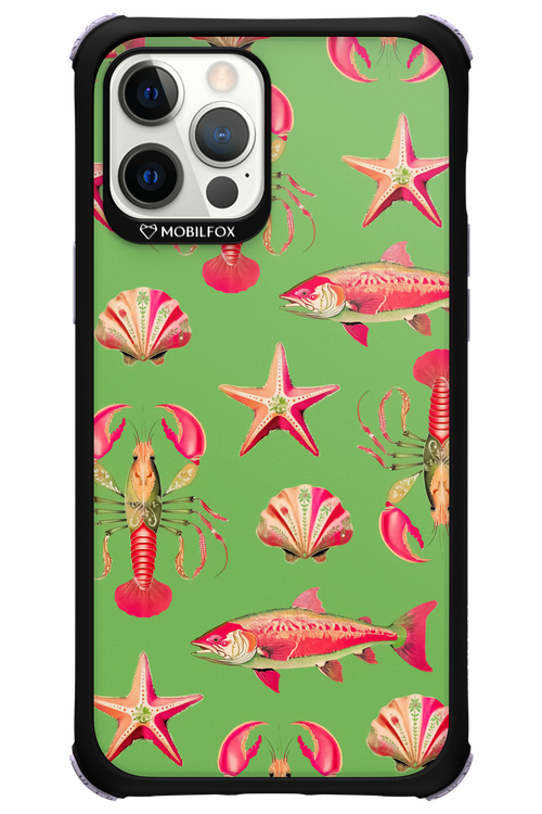Sea Stars - Apple iPhone 12 Pro Max