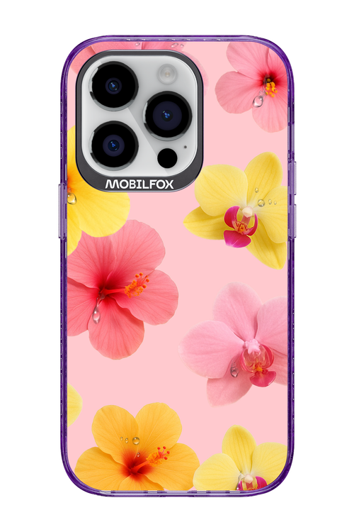 Sunset Flowers - Apple iPhone 14 Pro