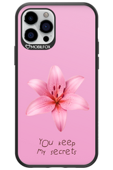 Secrets 2.0 - Apple iPhone 12 Pro