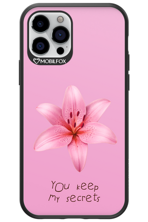 Secrets 2.0 - Apple iPhone 12 Pro