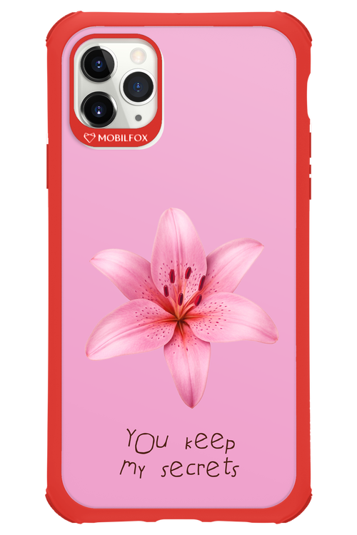 Secrets 2.0 - Apple iPhone 11 Pro Max