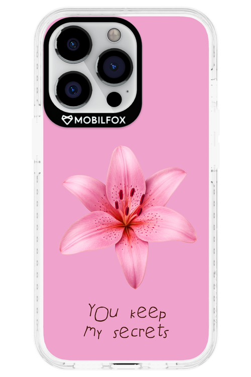 Secrets - Apple iPhone 13 Pro