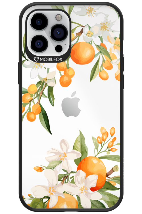 Amalfi Orange 2.0 - Apple iPhone 12 Pro Max