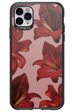 Amaryllis Mist - Apple iPhone 11 Pro Max